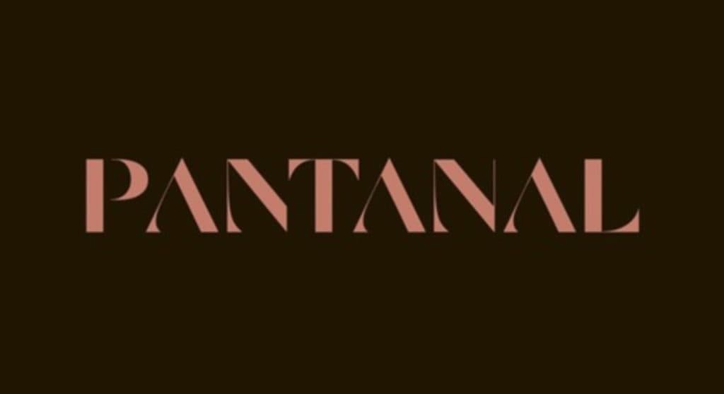 Ator da atual versão de Pantanal é atropelado, internado em hospital e morte de amigo é confirmada