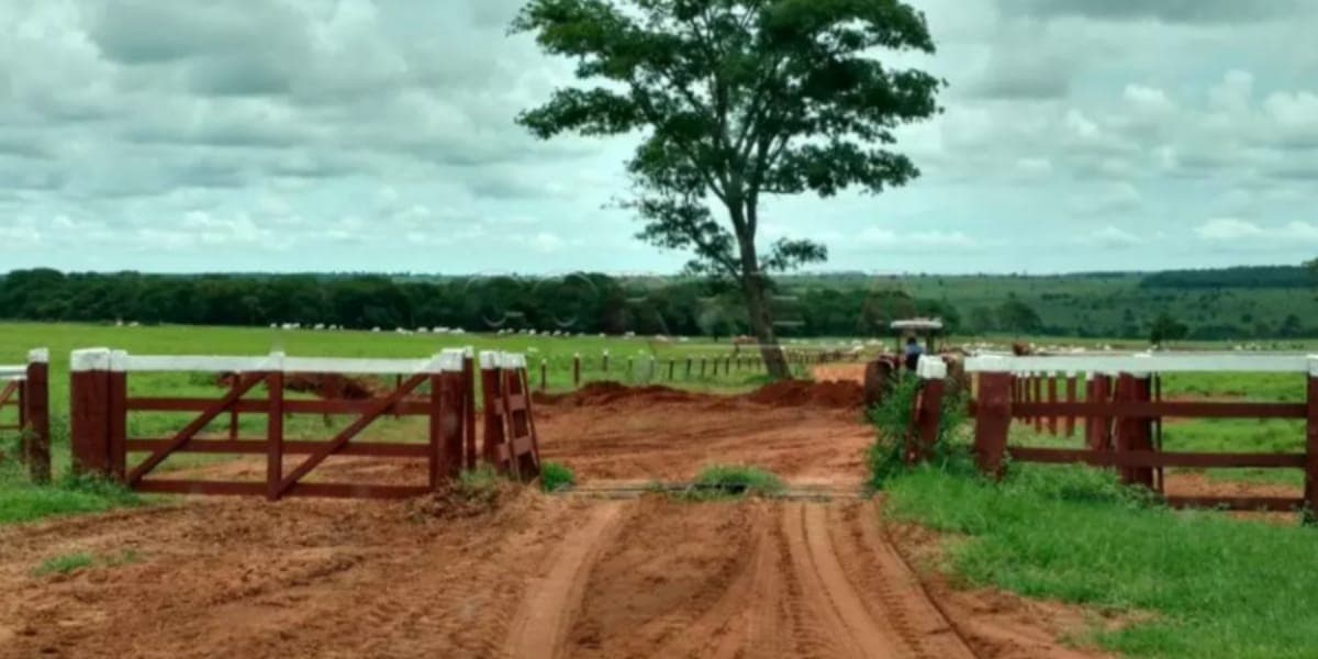 Fazenda Marrone (Reprodução: Youtube) Fazenda Marrone (Reprodução: Youtube)