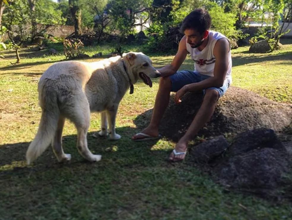 Imagem do post Imagem do post