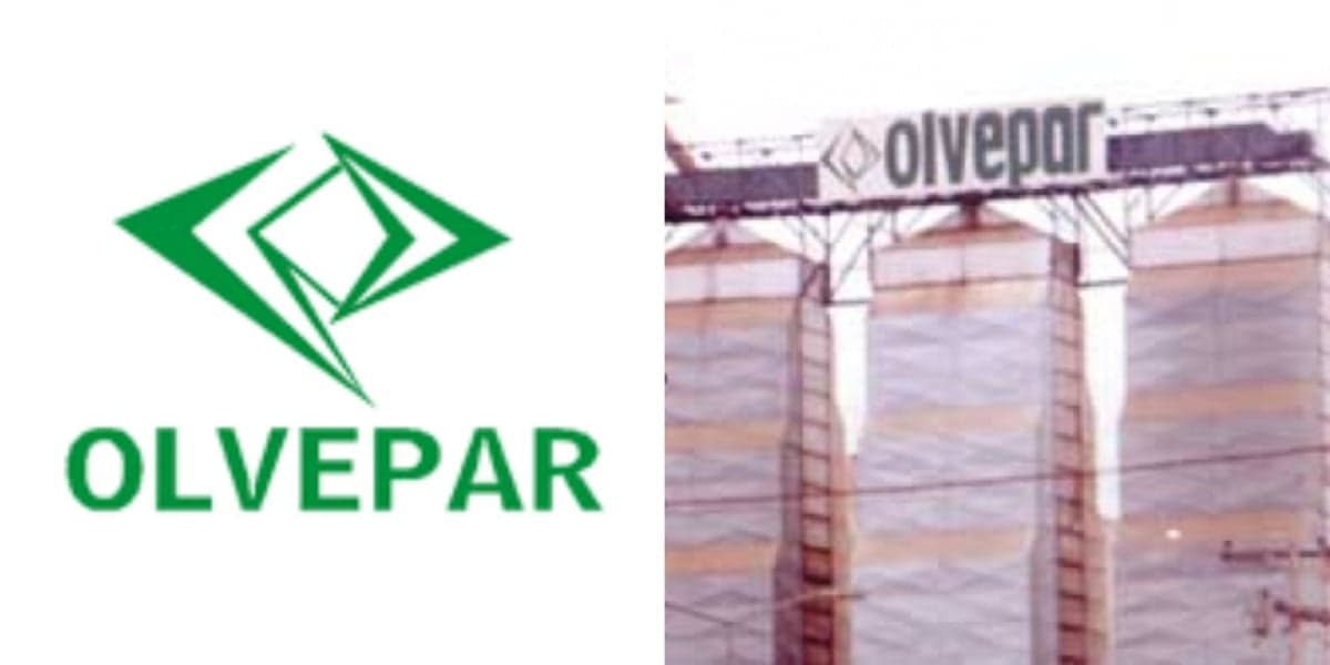 Falência da Olvepar dura 23 anos - Foto: Reprodução/Internet Falência da Olvepar dura 23 anos - Foto: Reprodução/Internet