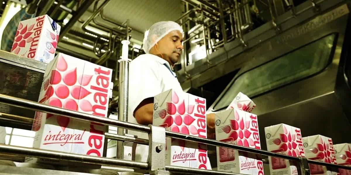 Parmalat, Empresa Parmalat, Empresa