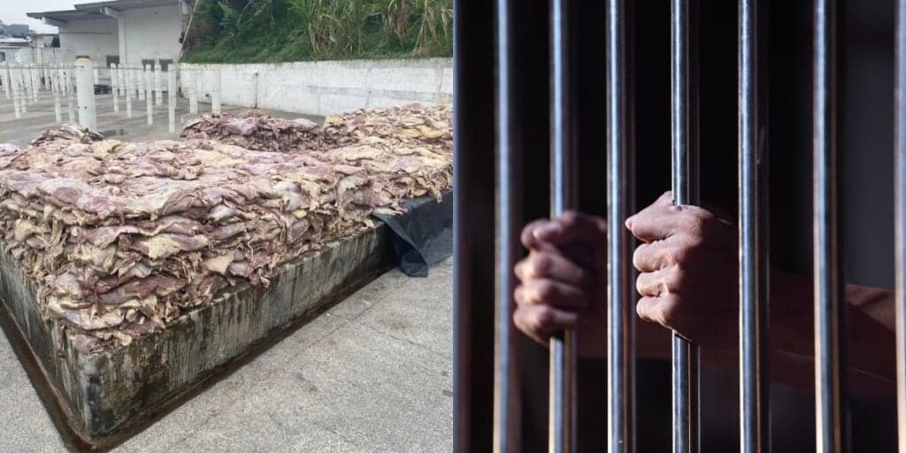 Toneladas de carne podre e dono PRESO: Fábrica gigante de alimentos acaba de ser interditada pela polícia
