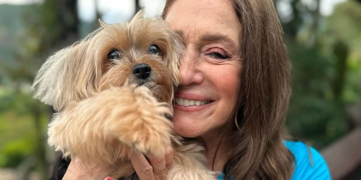 Cachorro e Susana Vieira (Foto: Reprodução / Instagram) Cachorro e Susana Vieira (Foto: Reprodução / Instagram)