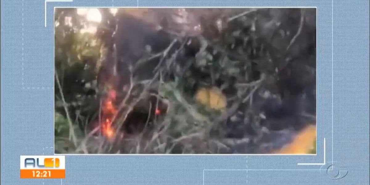O avião explodiu ao bater em uma área rural (Reprodução: Globo) O avião explodiu ao bater em uma área rural (Reprodução: Globo)