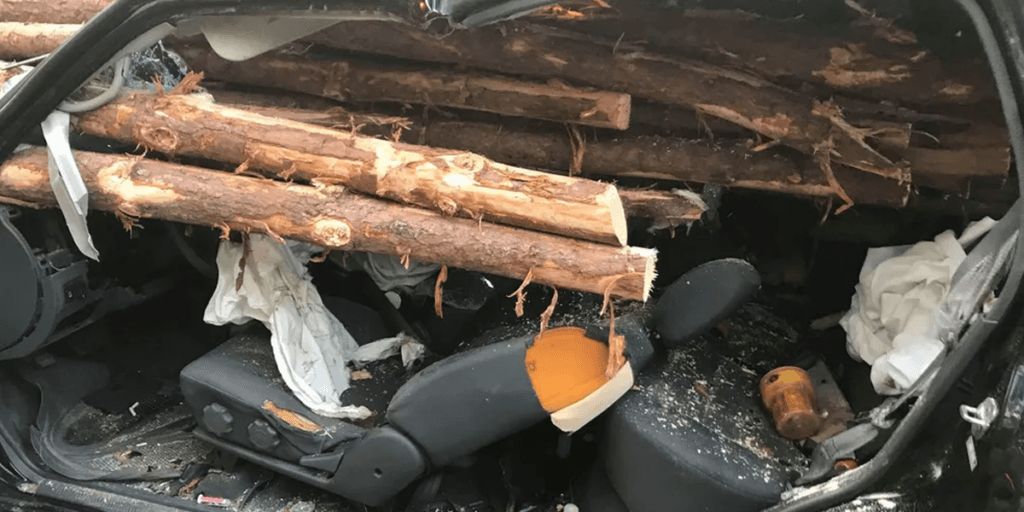 Tragédia e carro destruído: Mulher de 43 anos morre esmagada por um tronco arremessado na Avenida Brasil