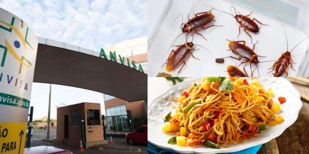 Comida vencida e decreto da Anvisa: O fechamento de 2 restaurantes queridinhos dos shoppings