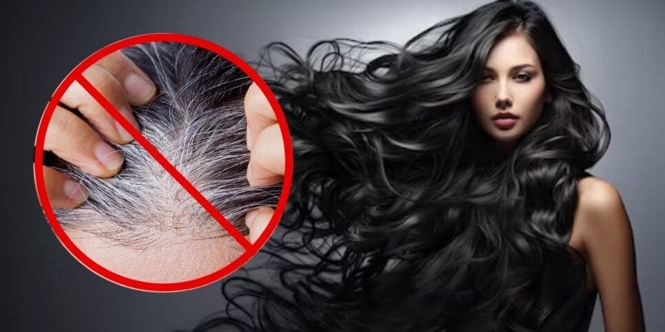 Tinta natural e sem amônia: Misturinha com 2 ingredientes ressuscita a cor de cabelos e sobrancelhas grisalhas