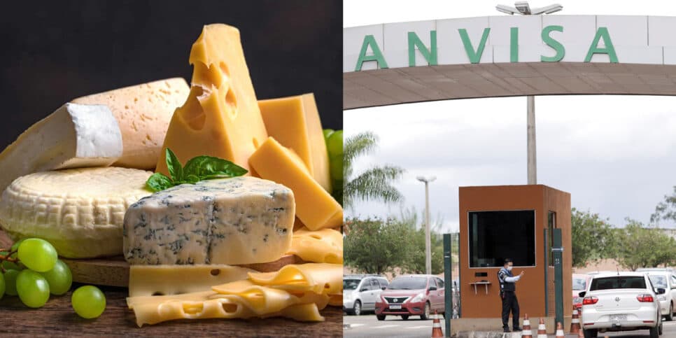 Substância fatal: O decreto da Anvisa e retirada às pressas de 4 marcas populares de queijo dos mercados