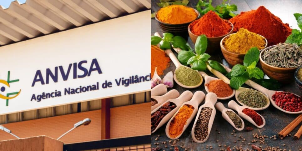 Anvisa fez proibição contra marca famosa de tempero de cozinha (Foto: Reprodução/ Internet) Anvisa fez proibição contra marca famosa de tempero de cozinha (Foto: Reprodução/ Internet)