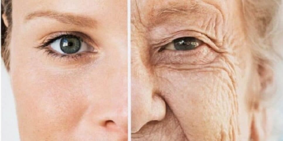 Fim das rugas em 8h: Único ingrediente caseiro mais potente que botox faz idosas acordarem com carinha de 30