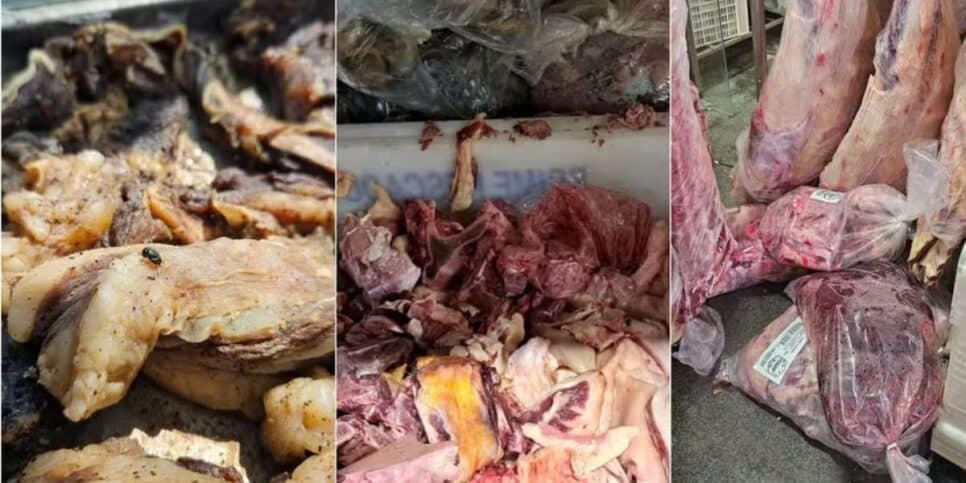 Carnes impróprias para consumo são descartadas por fiscais do Procon Goiás (Foto Reprodução/G1/Procon) Carnes impróprias para consumo são descartadas por fiscais do Procon Goiás (Foto Reprodução/G1/Procon)