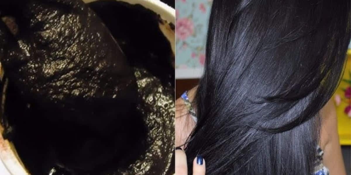 Chá preto cobre todos os fios brancos e grisalhos (Foto Reprodução/Montagem/Tv Foco/Lennita/Canva/YouTube) Chá preto cobre todos os fios brancos e grisalhos (Foto Reprodução/Montagem/Tv Foco/Lennita/Canva/YouTube)
