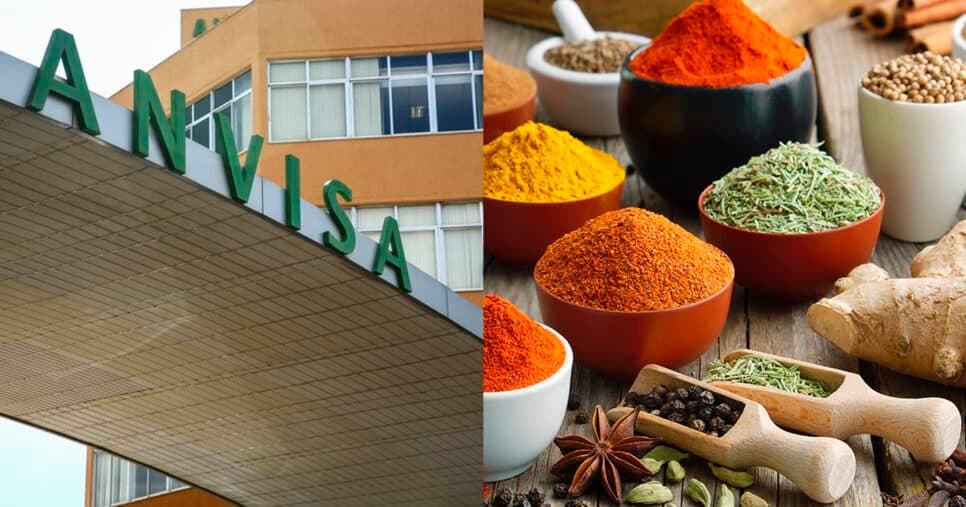 Pelo de roedor e +: Anvisa faz proibição contra marca de tempero n°1 e molho popular após descoberta