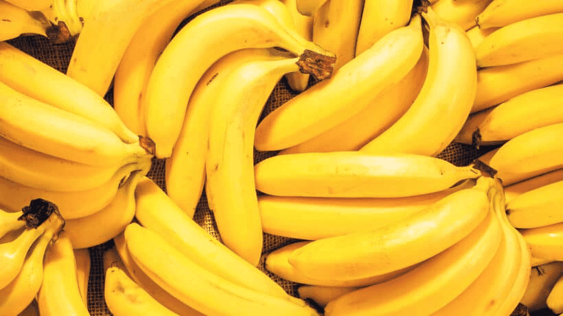 Banana (Foto Reprodução/Freepik) Banana (Foto Reprodução/Freepik)