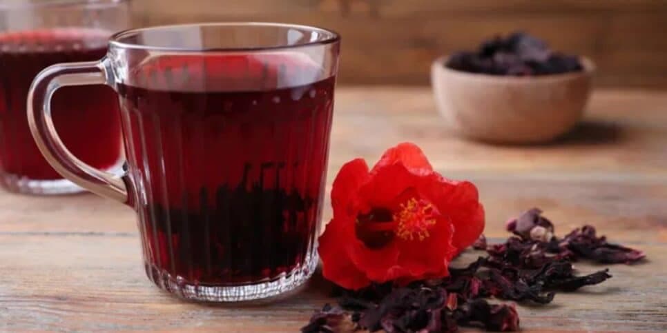 Chá de hibisco ajuda no emagrecimento (Reprodução: Canva) Chá de hibisco ajuda no emagrecimento (Reprodução: Canva)