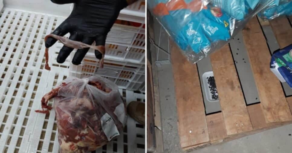 Supermercado é interditado por nojeira - Foto: Internet Supermercado é interditado por nojeira - Foto: Internet
