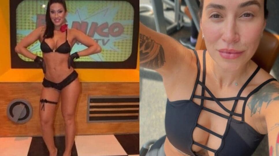 Dani Bolina, ex-Panicat (Foto: Reprodução/ Divulgação/ Instagram/ Montagem)