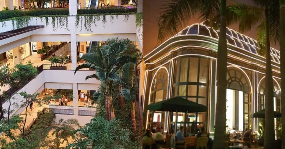 Para esmagar Cidade Jardim e Higienópolis: Nova varejista gigante arma chegada no Shopping Iguatemi em SP