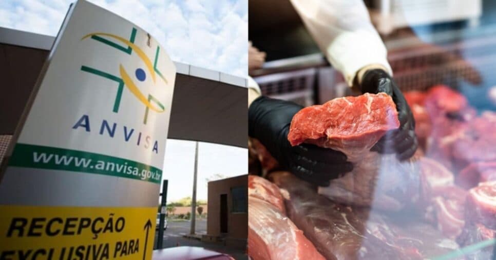 1,5 toneladas de carne podre: Interdição de açougue nº1 acende alerta máximo na ANVISA