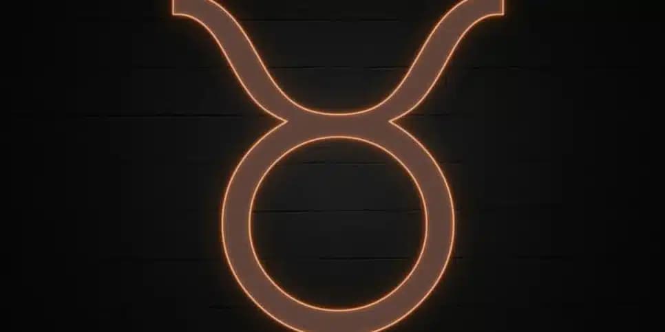signo touro signo touro