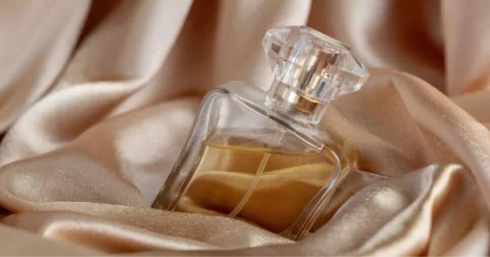 Alguns perfumes exalam sensualidade (Foto Reprodução/Montagem/Tv Foco/Canva) Alguns perfumes exalam sensualidade (Foto Reprodução/Montagem/Tv Foco/Canva)