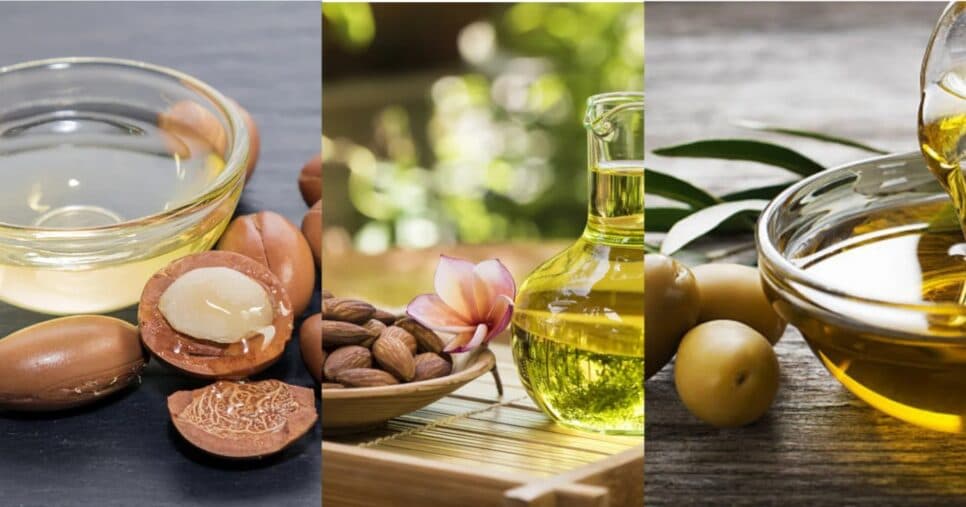 Óleo de Argan, Amêndoa e Oliva - Foto: Montagem/TV FOCO