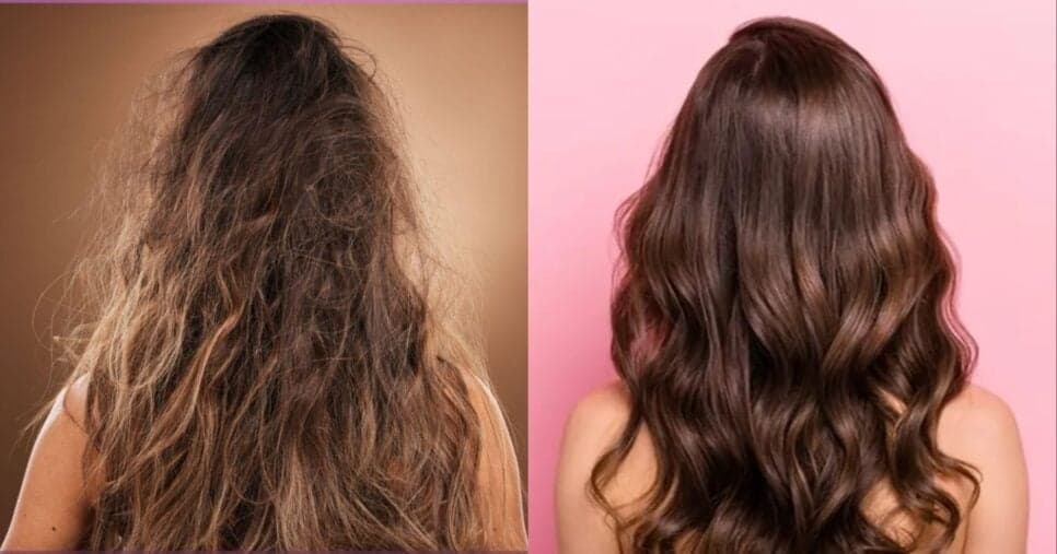 Cabelo hidratado e bem nutrido (Foto: Reprodução/ Internet)
