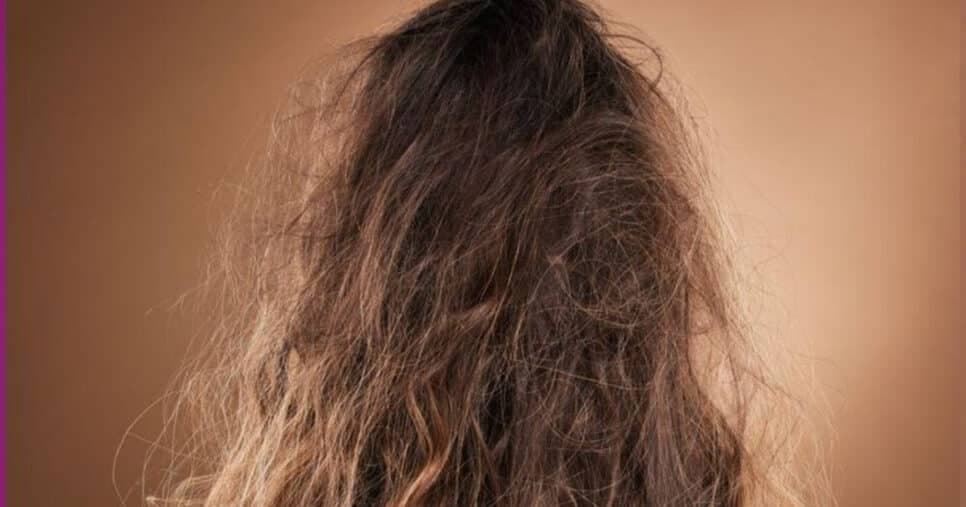 O debate sobre babosa, óleo de coco e o cabelo com frizz