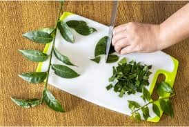 O consumo do ora pró-nóbis só pode ser feito in natura (Foto Reprodução/Internet) O consumo do ora pró-nóbis só pode ser feito in natura (Foto Reprodução/Internet)
