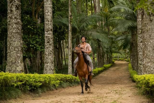 http://tvfoco.uai.com.br/wp-content/uploads/2015/05/Daniela-Mercury.jpg http://tvfoco.uai.com.br/wp-content/uploads/2015/05/Daniela-Mercury.jpg