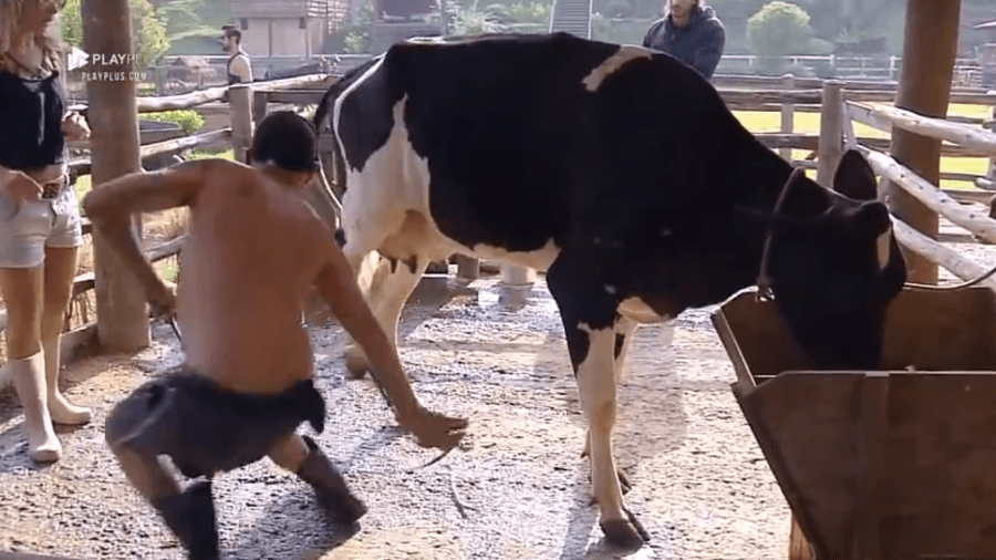 Rafael Ilha levou um coice da vaca Rafael Ilha levou um coice da vaca