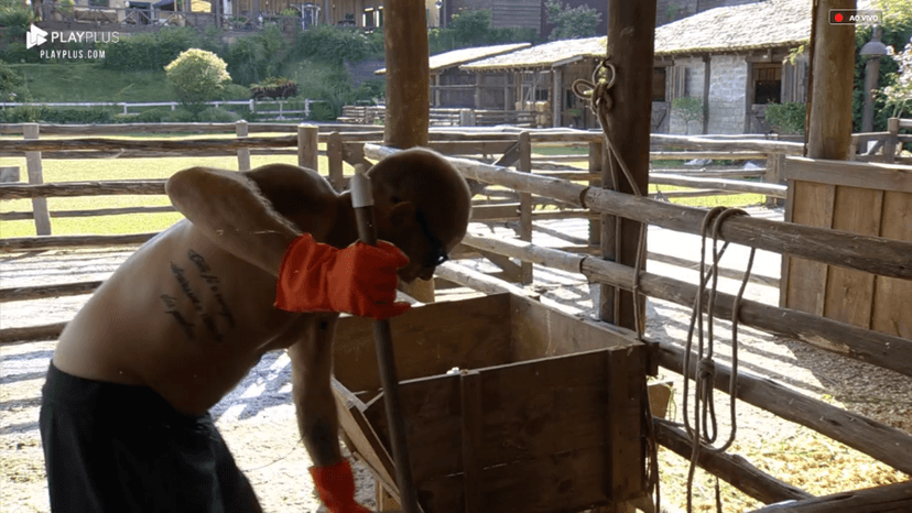 A Fazenda A Fazenda