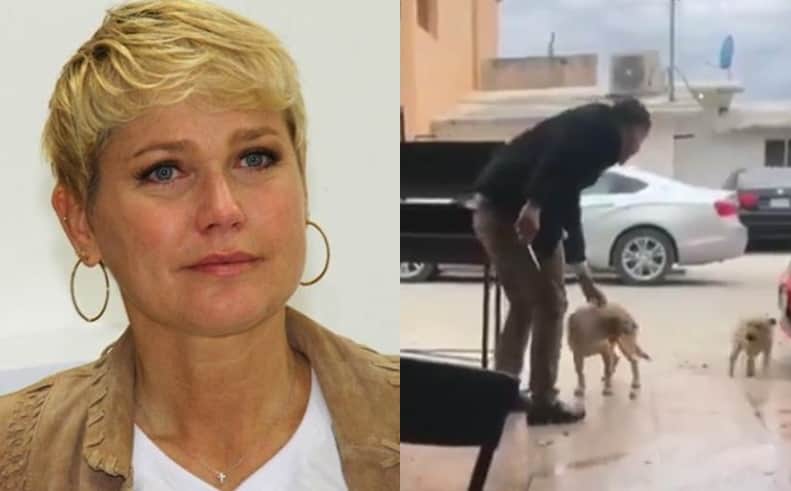Xuxa Meneghel divulga vídeo polêmico (Foto: Reprodução/Instagram) Xuxa Meneghel divulga vídeo polêmico (Foto: Reprodução/Instagram)