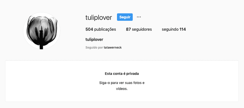 O perfil de secreto de Sandy tem apenas seguidores selecionados (Foto: Reprodução) O perfil de secreto de Sandy tem apenas seguidores selecionados (Foto: Reprodução)