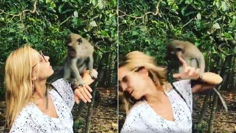 Cris Dias foi atacada por macaco (Reprodução: Instagram) Cris Dias foi atacada por macaco (Reprodução: Instagram)