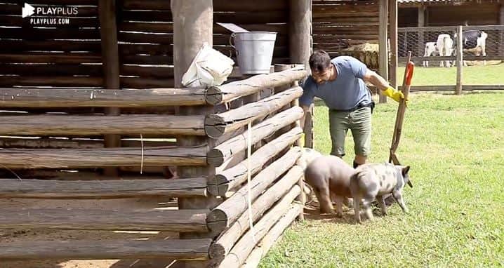 Jorge Sousa se diverte com porquinhos em A Fazenda 11 e coloca o nome de Laura Keller (Reprodução: PlayPlus) Jorge Sousa se diverte com porquinhos em A Fazenda 11 e coloca o nome de Laura Keller (Reprodução: PlayPlus)