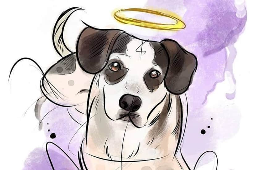 Arte que representou cachorro que faleceu (Foto: Reprodução) Arte que representou cachorro que faleceu (Foto: Reprodução)