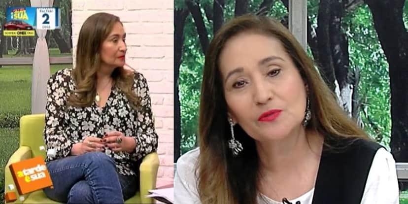 Sonia Abrão deu relato pessoal no A Tarde é Sua (Foto: Reprodução/RedeTV!) Sonia Abrão deu relato pessoal no A Tarde é Sua (Foto: Reprodução/RedeTV!)