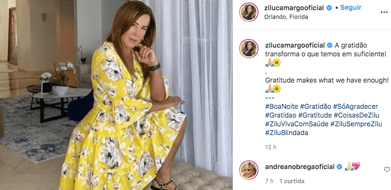 Zilu recebeu um comentário de Andréa Nóbrega (Foto: reprodução/Instagram) Zilu recebeu um comentário de Andréa Nóbrega (Foto: reprodução/Instagram)
