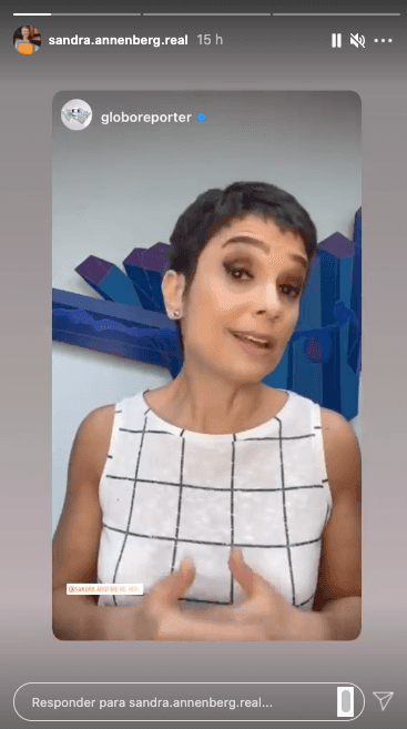 Sandra Annenberg (Reprodução) Sandra Annenberg (Reprodução)