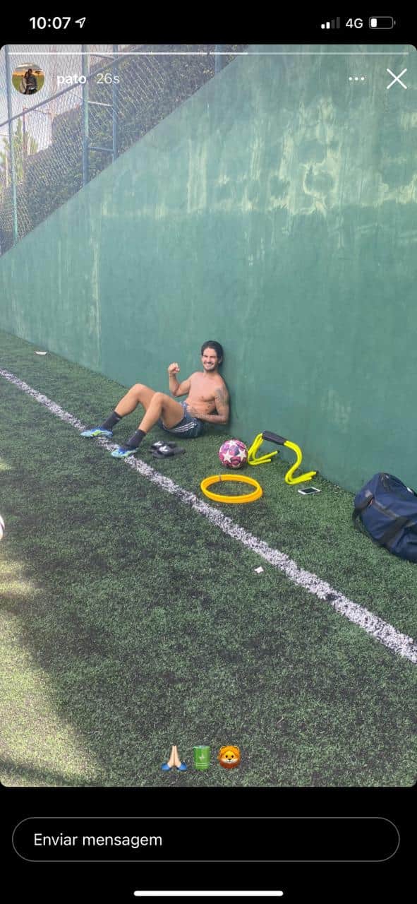 Pato exibe músculos enquanto descansa no mato, após treino (Reprodução) Pato exibe músculos enquanto descansa no mato, após treino (Reprodução)