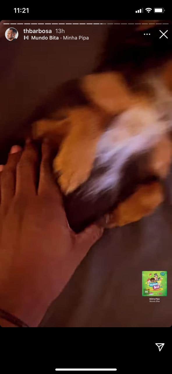 Thiaguinho flagra vídeo fazendo carinho em partes íntimas de parceiro de quatro patas (Reprodução: Instagram) Thiaguinho flagra vídeo fazendo carinho em partes íntimas de parceiro de quatro patas (Reprodução: Instagram)