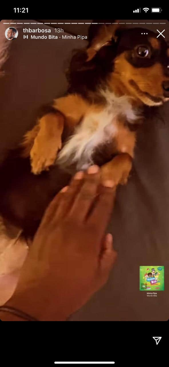 Thiaguinho flagra vídeo fazendo carinho em partes íntimas de parceiro de quatro patas (Reprodução: Instagram) Thiaguinho flagra vídeo fazendo carinho em partes íntimas de parceiro de quatro patas (Reprodução: Instagram)