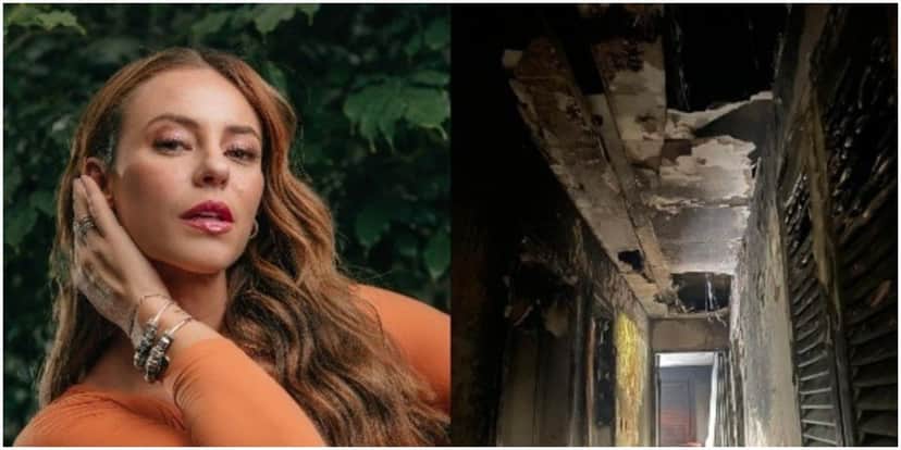 Paolla Oliveira fez um posicionamento após o incêndio na sua mansão no Rio de Janeiro Paolla Oliveira fez um posicionamento após o incêndio na sua mansão no Rio de Janeiro
