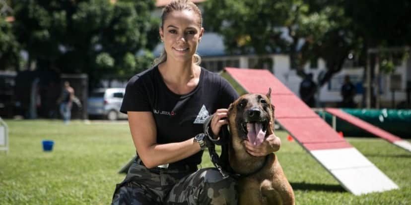 Cão Iron, que contracenava com Paolla Oliveira em A Força do Querer (Foto: Reprodução) Cão Iron, que contracenava com Paolla Oliveira em A Força do Querer (Foto: Reprodução)