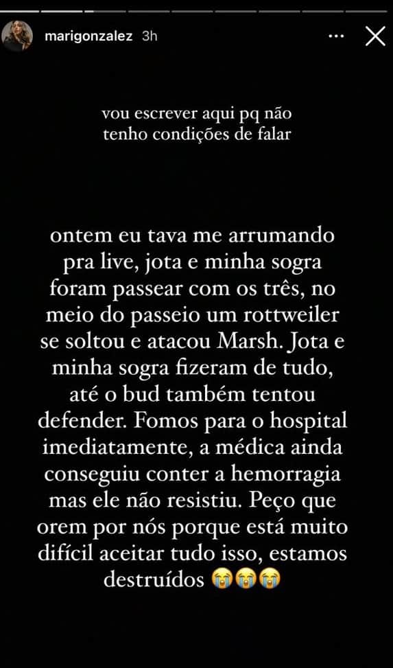 Mari Gonzalez faz desabafo no Instagram e conta do ocorrido (Foto: Reprodução/Instagram) Mari Gonzalez faz desabafo no Instagram e conta do ocorrido (Foto: Reprodução/Instagram)