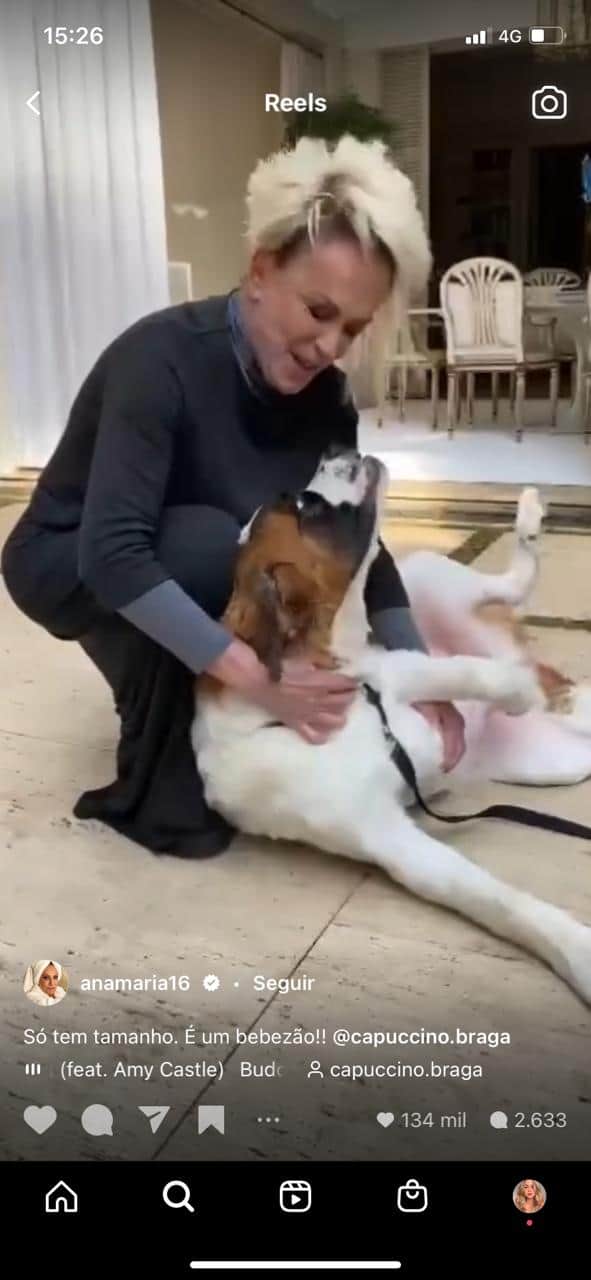 Ana Maria é atacada por animal de estimação, o Capuccino (Reprodução) Ana Maria é atacada por animal de estimação, o Capuccino (Reprodução)