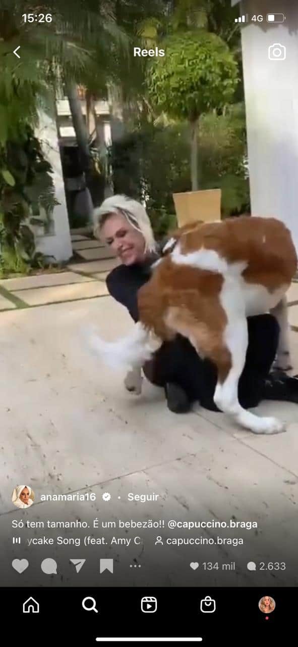 Ana Maria é atacada por animal de estimação, o Capuccino (Reprodução) Ana Maria é atacada por animal de estimação, o Capuccino (Reprodução)