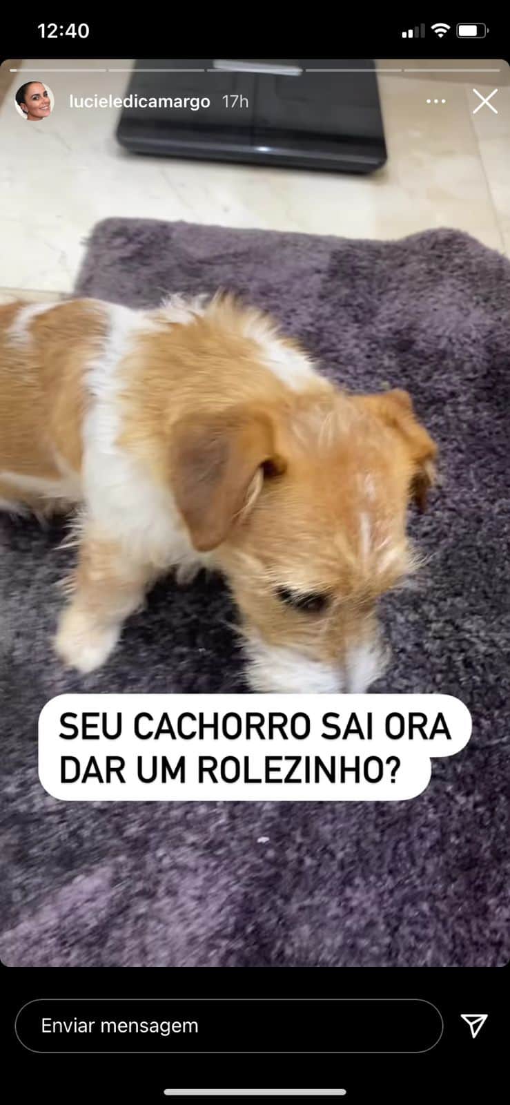 Luciele Di Camargo expõe revolta com cachorro (Reprodução) Luciele Di Camargo expõe revolta com cachorro (Reprodução)
