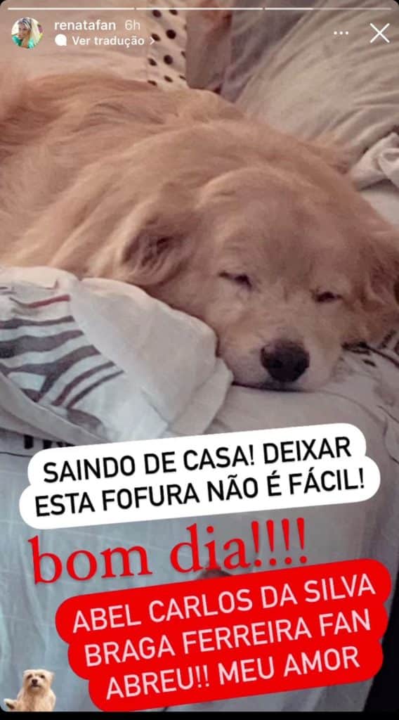 renata-fan-band renata-fan-band